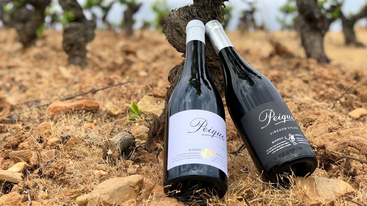 Vinos premiados en el concurso. Vinos premiados en el concurso.