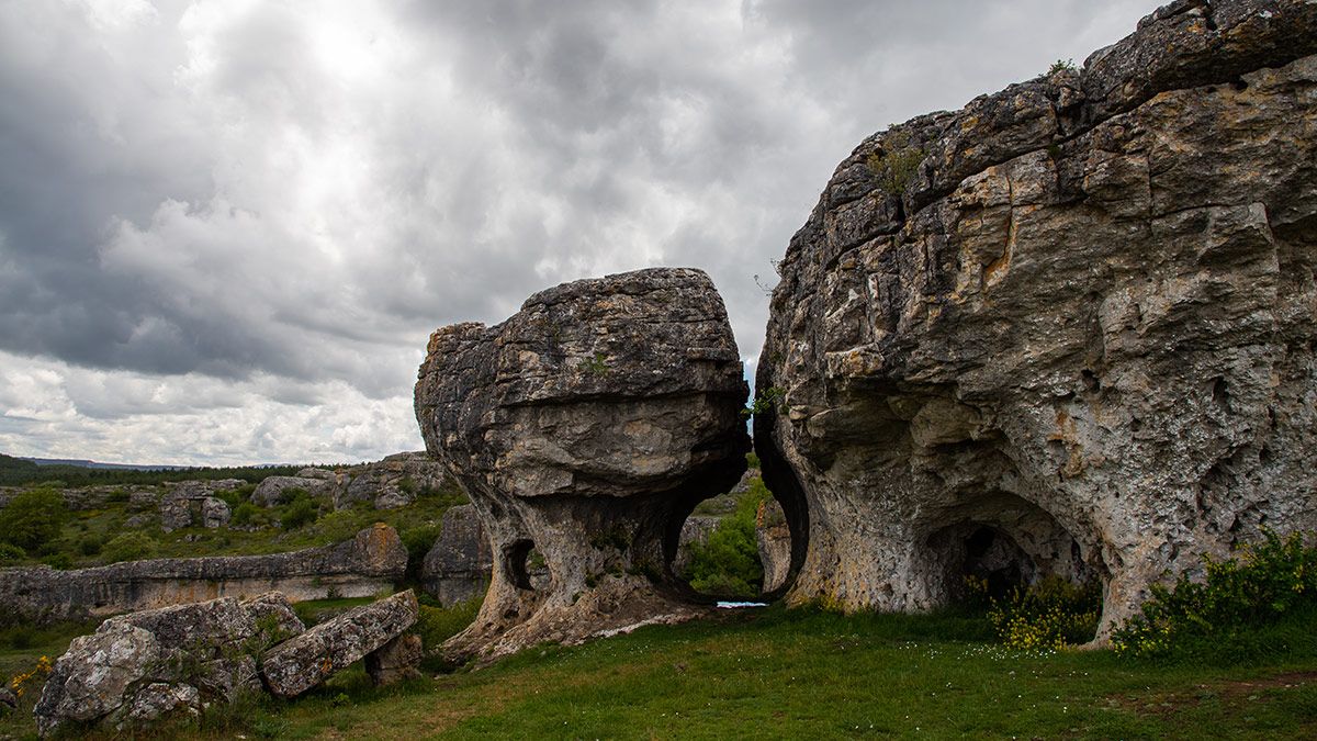 Monumento natural de Las Tuerces en Villaescusa de la Torres (Palencia). | ICAL