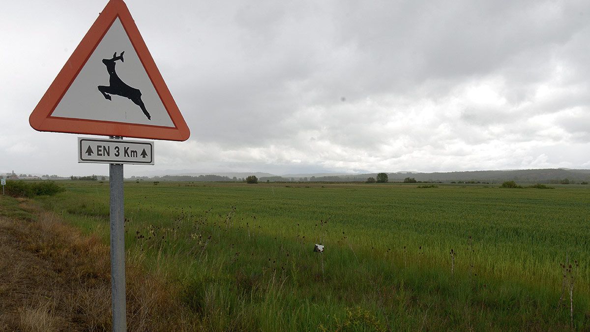 El polígono industrial se ubicará en terrenos aledaños a la LE-232. | M. PEÑA