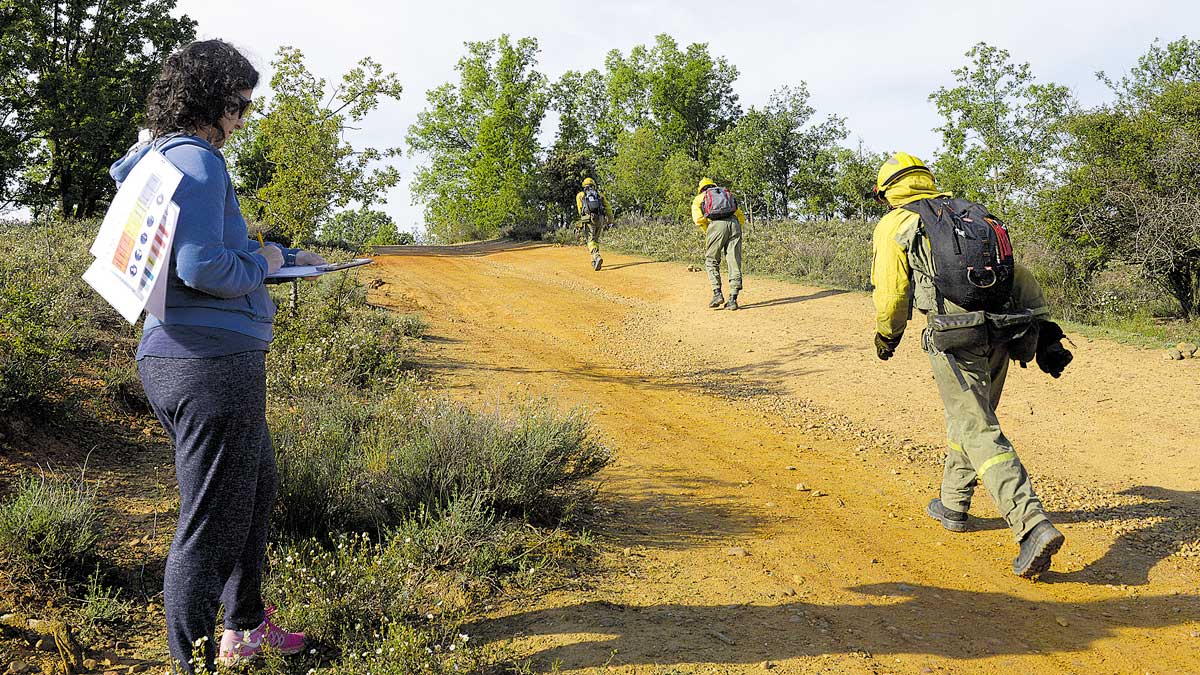 Prueba de resistencia cargados con una mochila de 20 kilos como la que llevan en los incendios.| MAURICIO PEÑA Prueba de resistencia cargados con una mochila de 20 kilos como la que llevan en los incendios.| MAURICIO PEÑA
