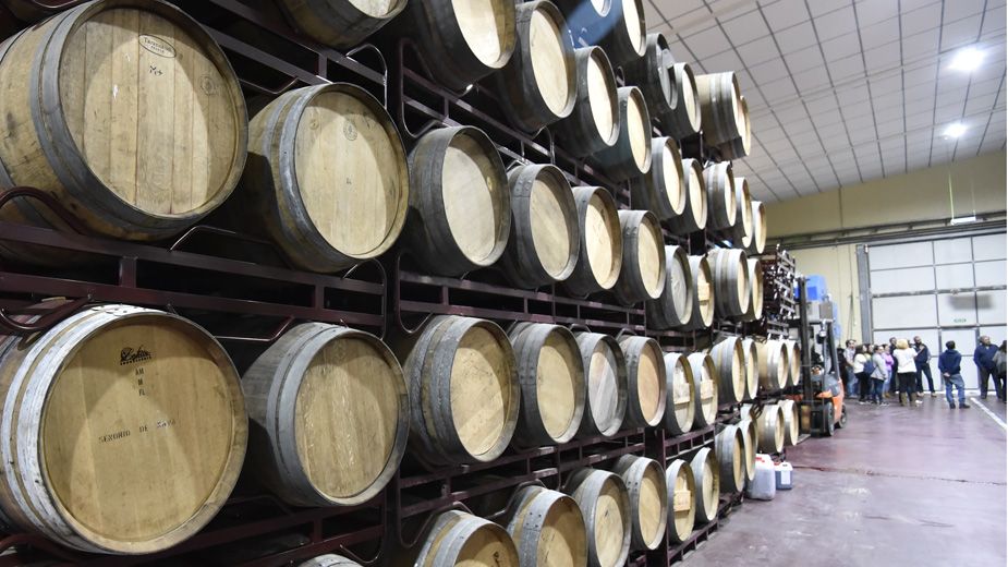 En las visitas se conocerán los viñedos para también las instalaciones donde se elaboran los vinos de la Tierra de León. | SAÚL ARÉN