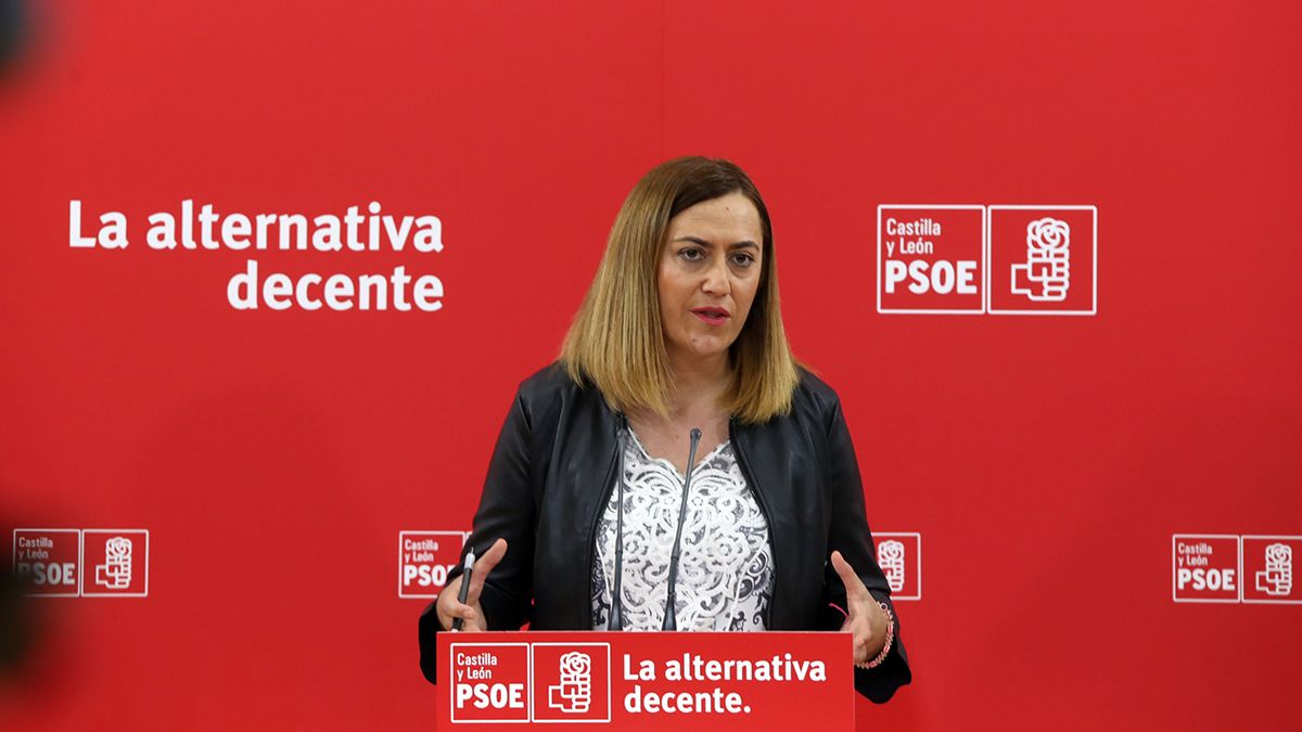 Virginia Barcones, nueva Delegada del Gobierno en Castilla y León. | ICAL