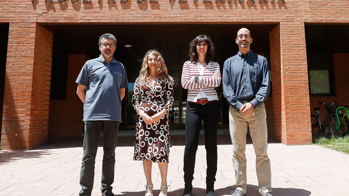 Los promotores de la empresa Imapor, (IaD) José Ramiro González, Marta Alonso, Beatriz Martín y Felipe Martín. | ICAL