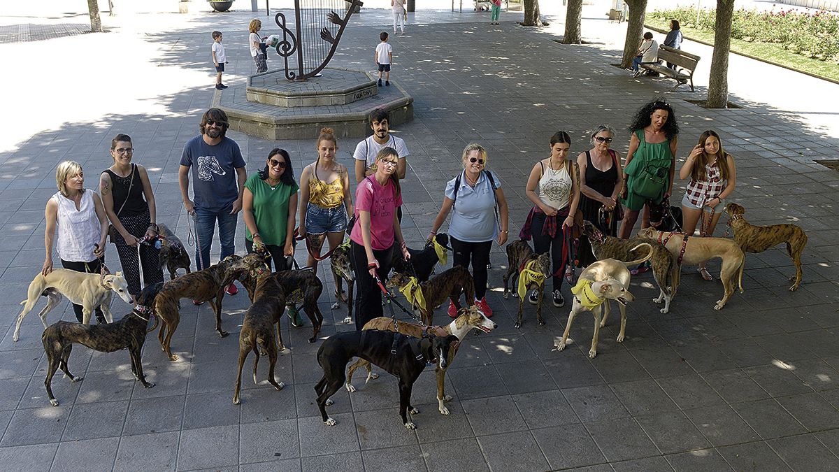 Perros adoptados de la asociación posan con sus dueños. | MAURICIO PEÑA