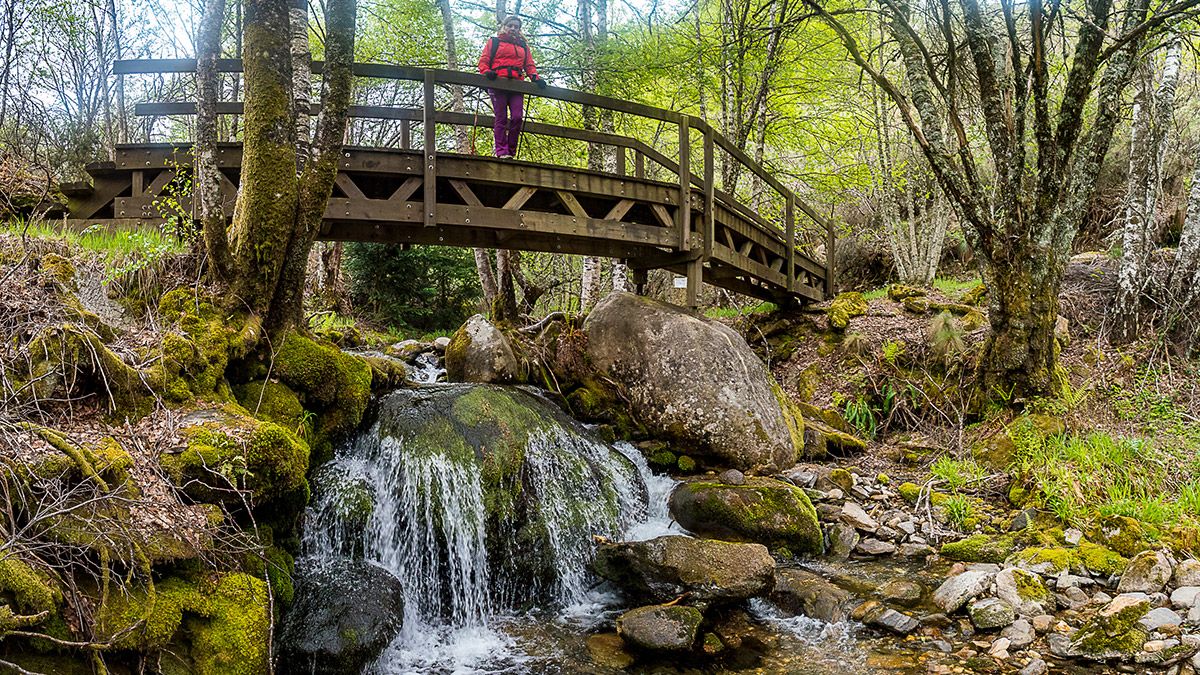 Puente sobre el arroyo Tejedelo. | VICENTE GARCÍA