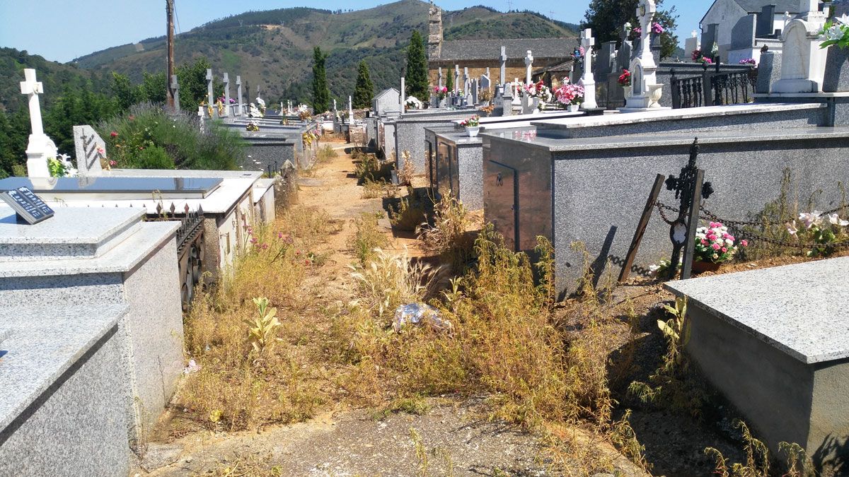 El estado del cementerio ha sido denunciado por el PSOE.