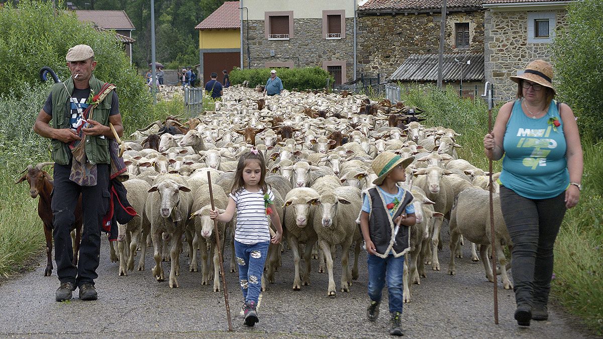 La jornada giró, un año más en torno a las tradiciones y la vida pastoril y trashumante con un programa repleto de actividades. | REPORTAJE GRÁFICO: MAURICIO PEÑA