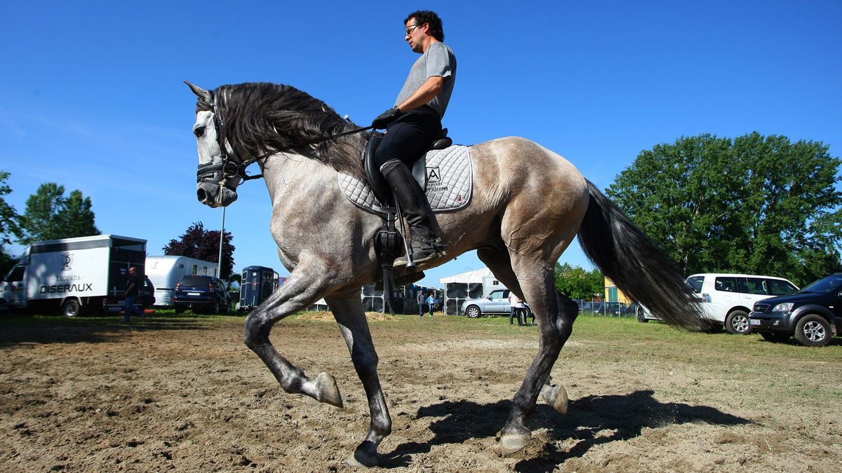 XIX Feria del Caballo de Pura Raza Española de Camponaraya. | CÉSAR SÁNCHEZ (ICAL)