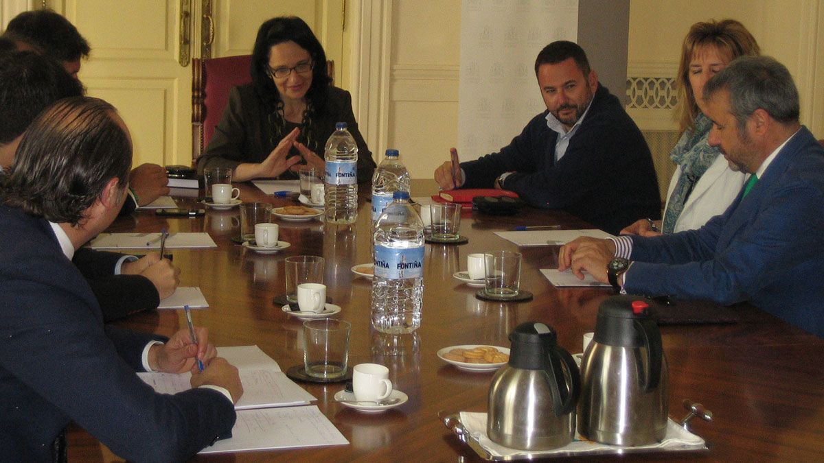 Imagen de la reunión con la subdelegada del Gobierno en León.