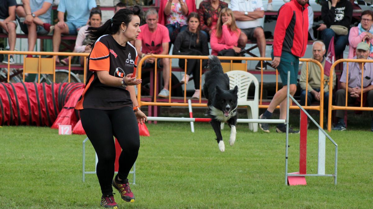 Lyanna, Shira y Sucre fueron los ganadores del IV Trofeo Agility. | L.N.C. Lyanna, Shira y Sucre fueron los ganadores del IV Trofeo Agility. | L.N.C.