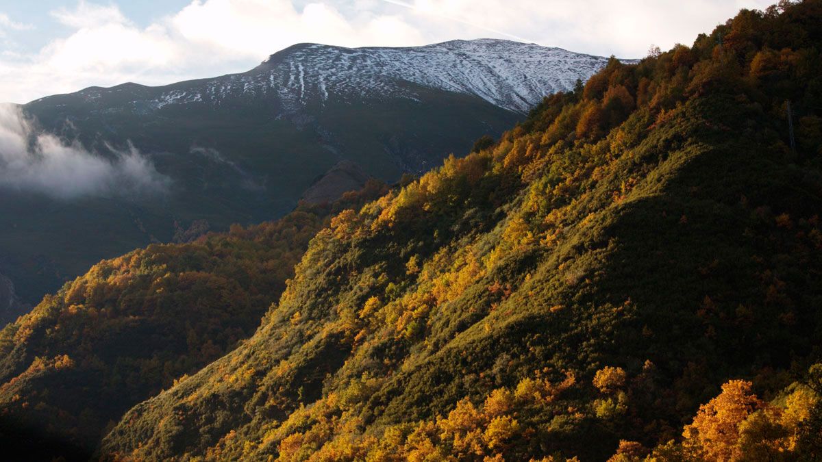 En busca de un plan estratégico sostenible para el Bierzo.