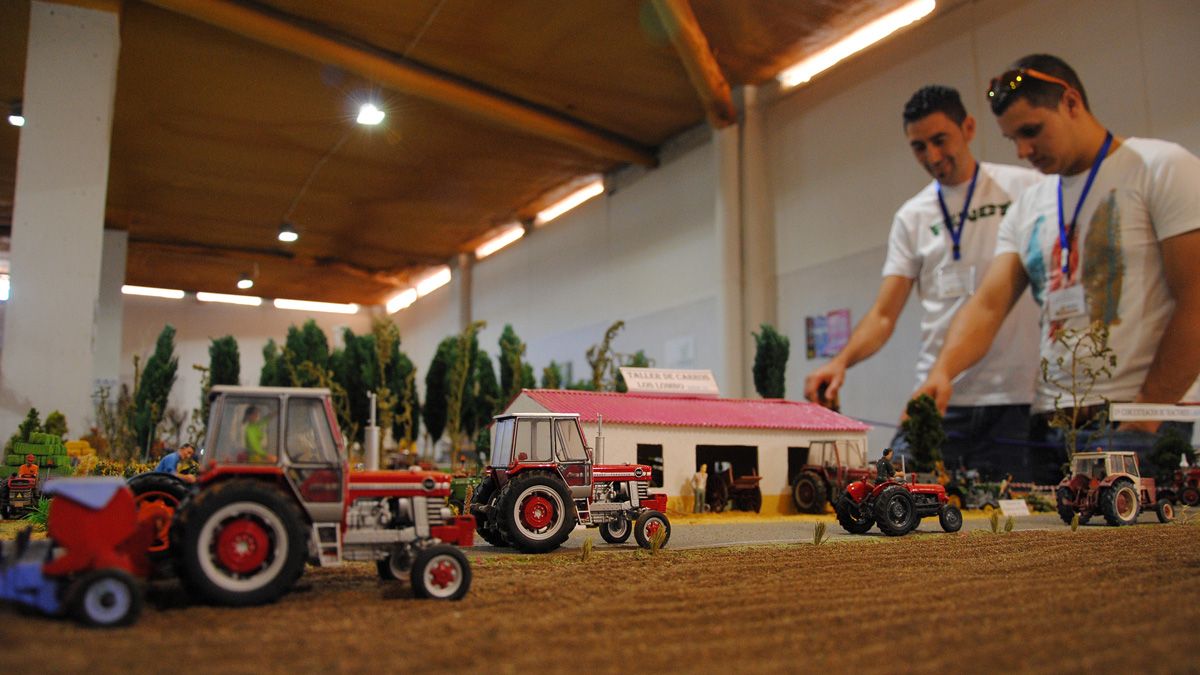 Un detalle de la muestra Expomini en su edición el año pasado. |ABAJO