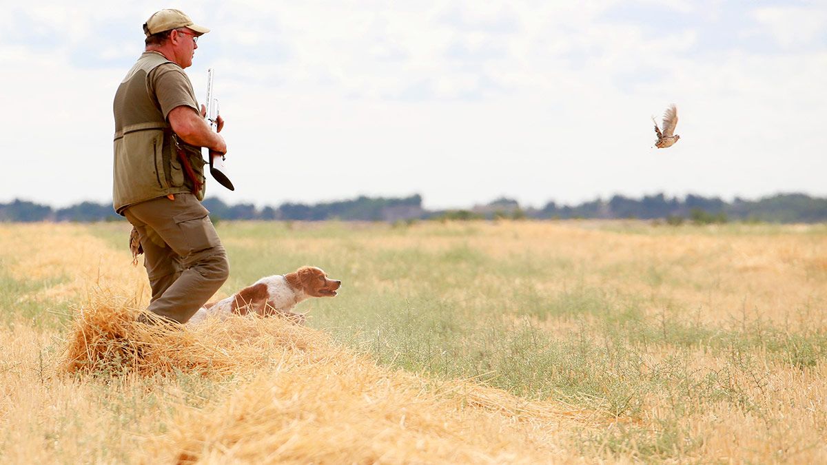 Imagen de archivo de un cazador en un campo de cereales. | ICAL