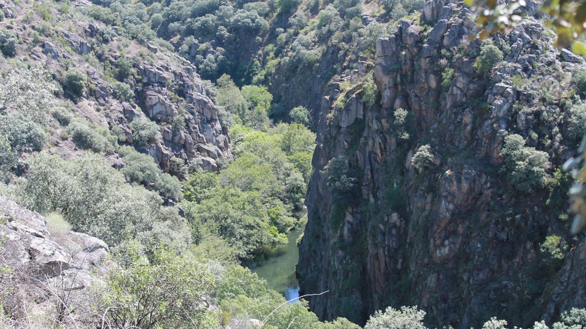 Las fragas del Boeza son un espectáculo granítico que va acompañando la vista desde el camino. |MAR IGLESIAS Las fragas del Boeza son un espectáculo granítico que va acompañando la vista desde el camino. |MAR IGLESIAS