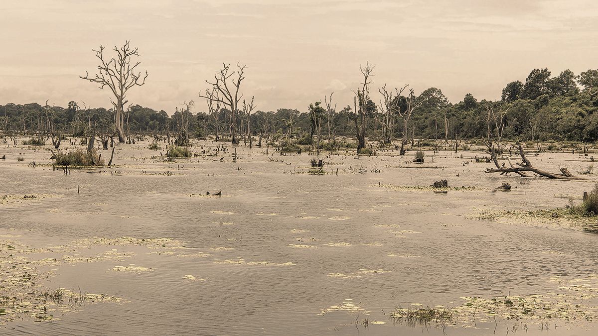 angkorcinco-01082018.jpg angkorcinco-01082018.jpg