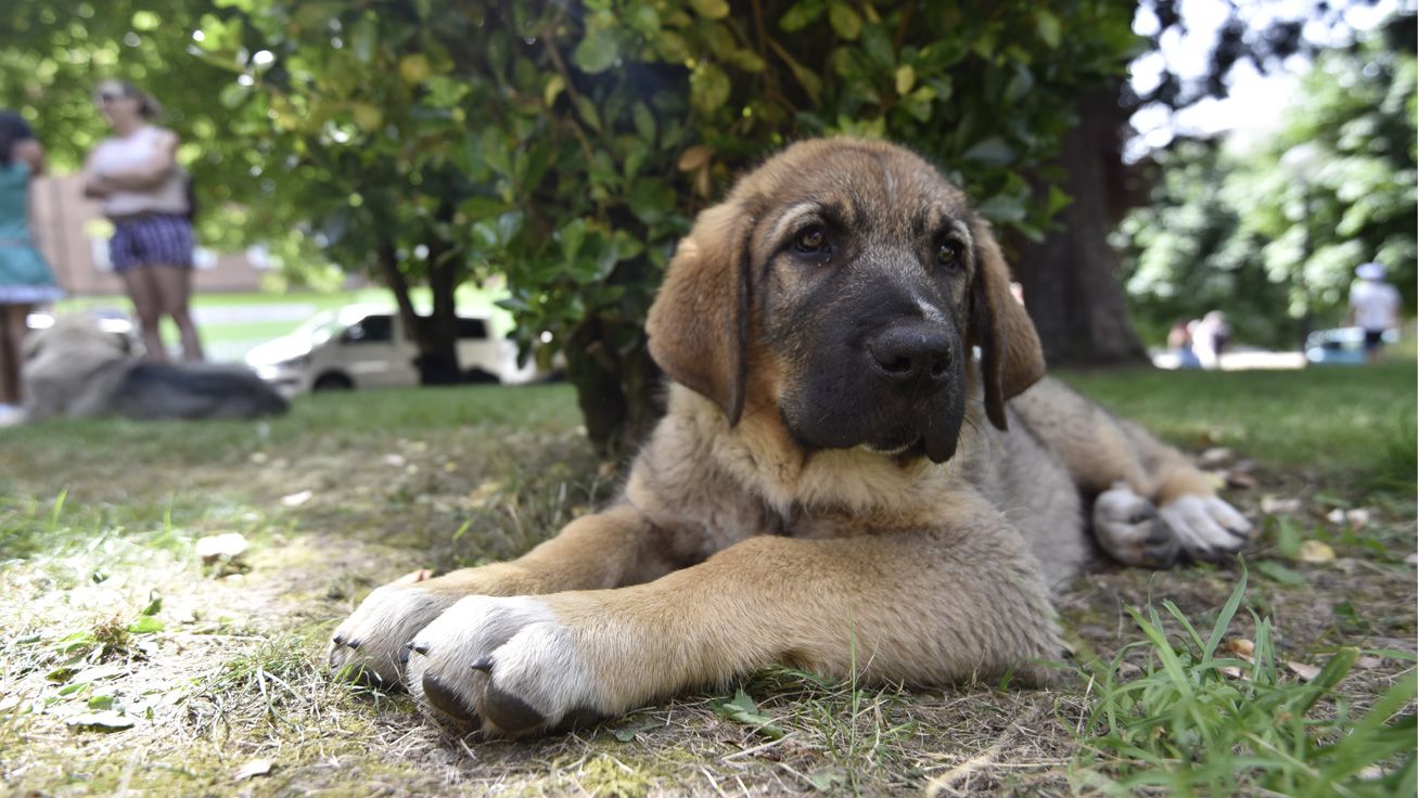 saul-0019478.jpg