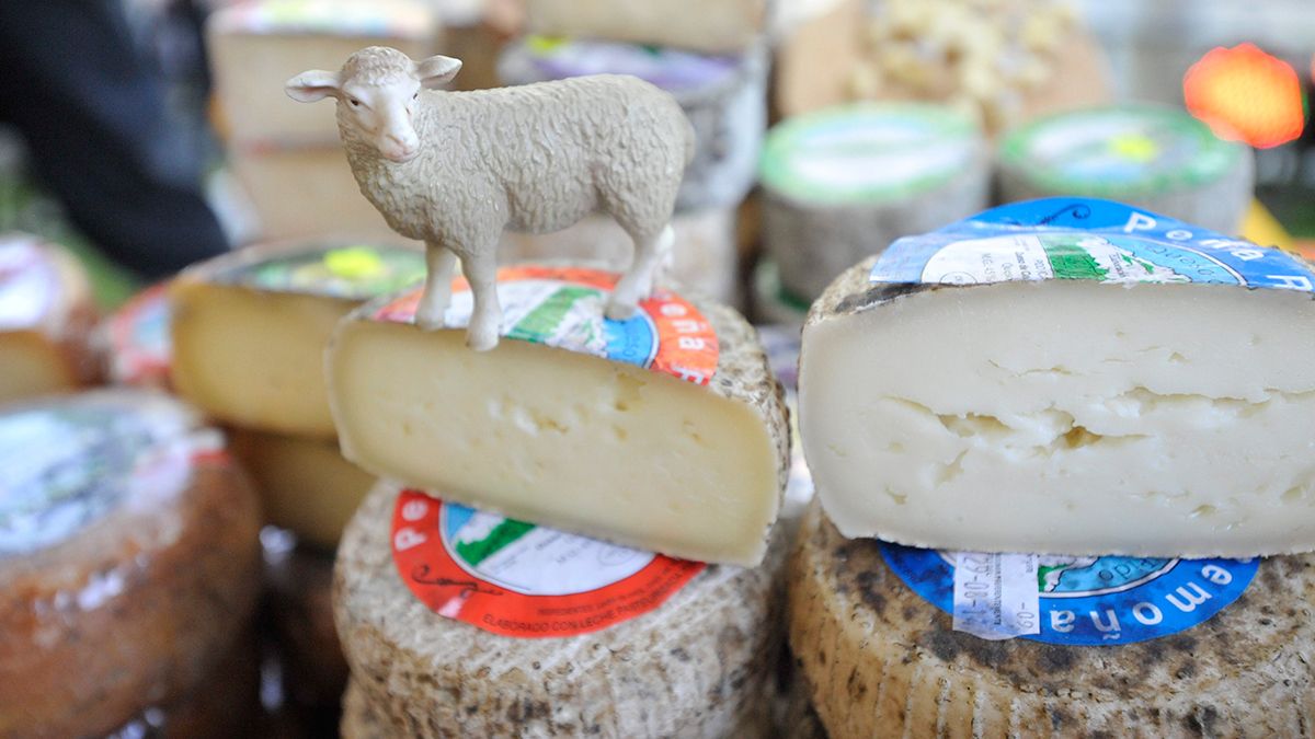 Durante tres días León tendrá un pequeño rincón en Asturias | L.N.C.