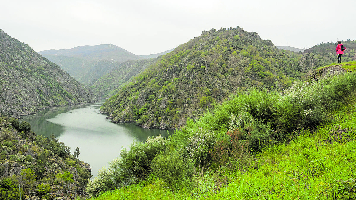 Una de las vistas de la ruta hacia el Sil. |VICENTE GARCÍA