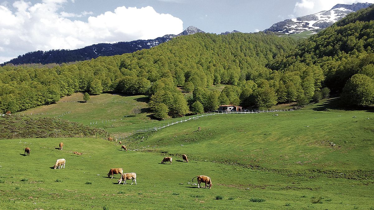 El refugio de Vegabaño, en el centro de la imagen, ofrece un paisaje «muy diferente» al resto de Picos de Europa. | L.N.C.