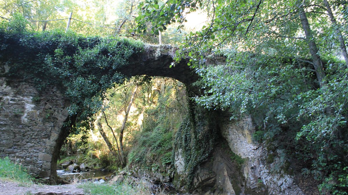 Tal vez una foto no pueda enseñar las sensaciones que se unen bajo un puente anciano, La Puente Grande. | MAR IGLESIAS