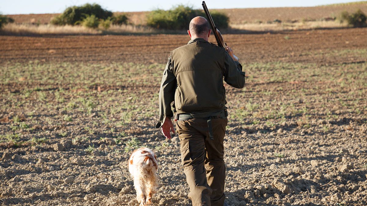 Un cazador en el inicio de la temporada de caza. | ICAL Un cazador en el inicio de la temporada de caza. | ICAL