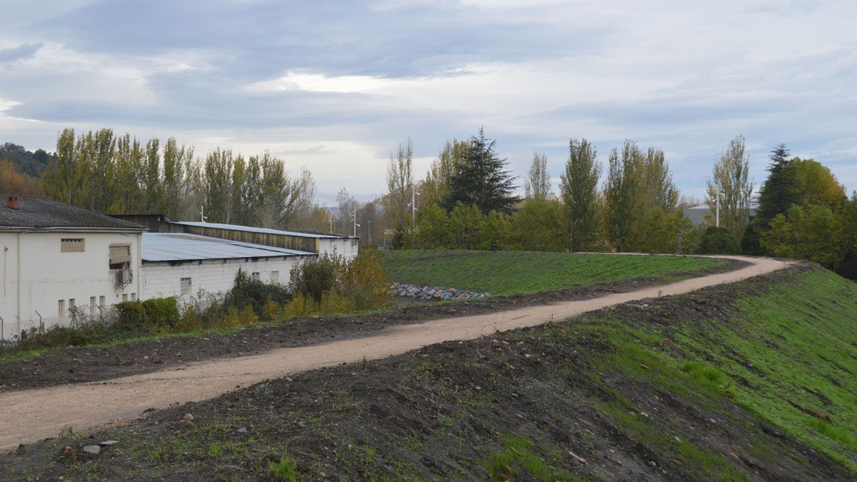 Imagen de parte del paseo del Sil, que será continuado hacia Flores del Sil. | A.C.