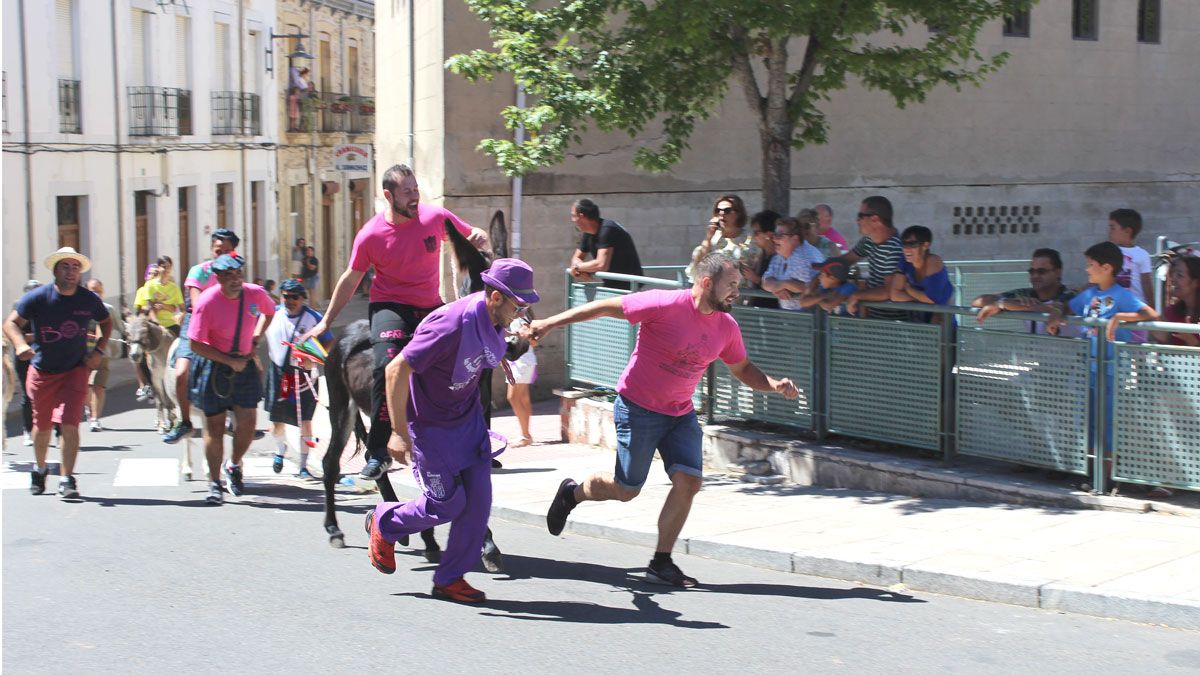 La tradicional ‘burrada’ volvió a reunir a lo largo del circuito a centenares de personas que aplaudieron a los participantes. | ALFREDO HURTADO