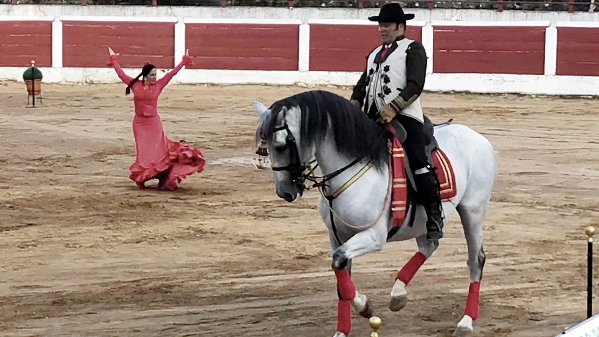 El flamenco y los caballos formaron el espectáculo. | P.F.