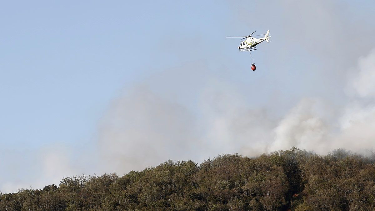 Imagen de archivo de un incendio en la provincia de León. | MAURICIO PEÑA