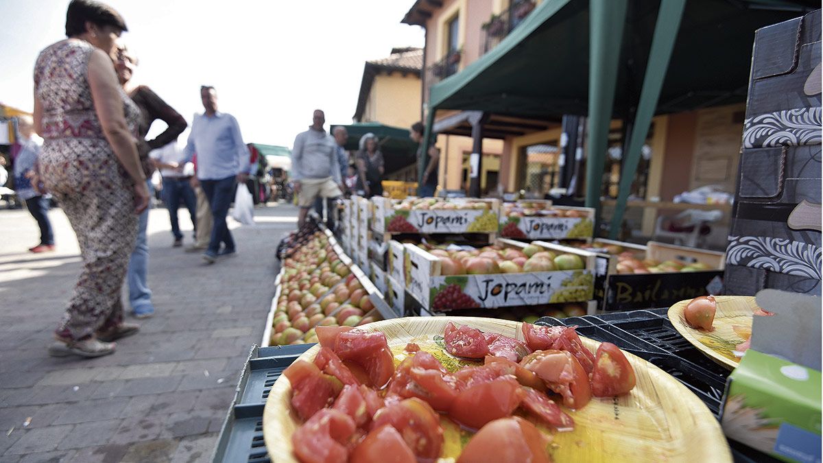 Feria del Tomate de Mansilla de las Mulas celebrada este domingo. | SAÚL ARÉN