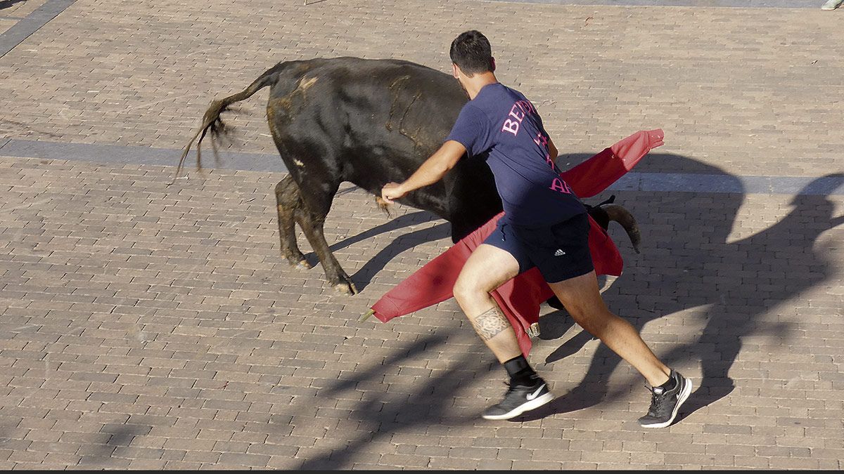 Encierro del toro de cajón ayer por la tarde en el centro de Valderas. | T.G.