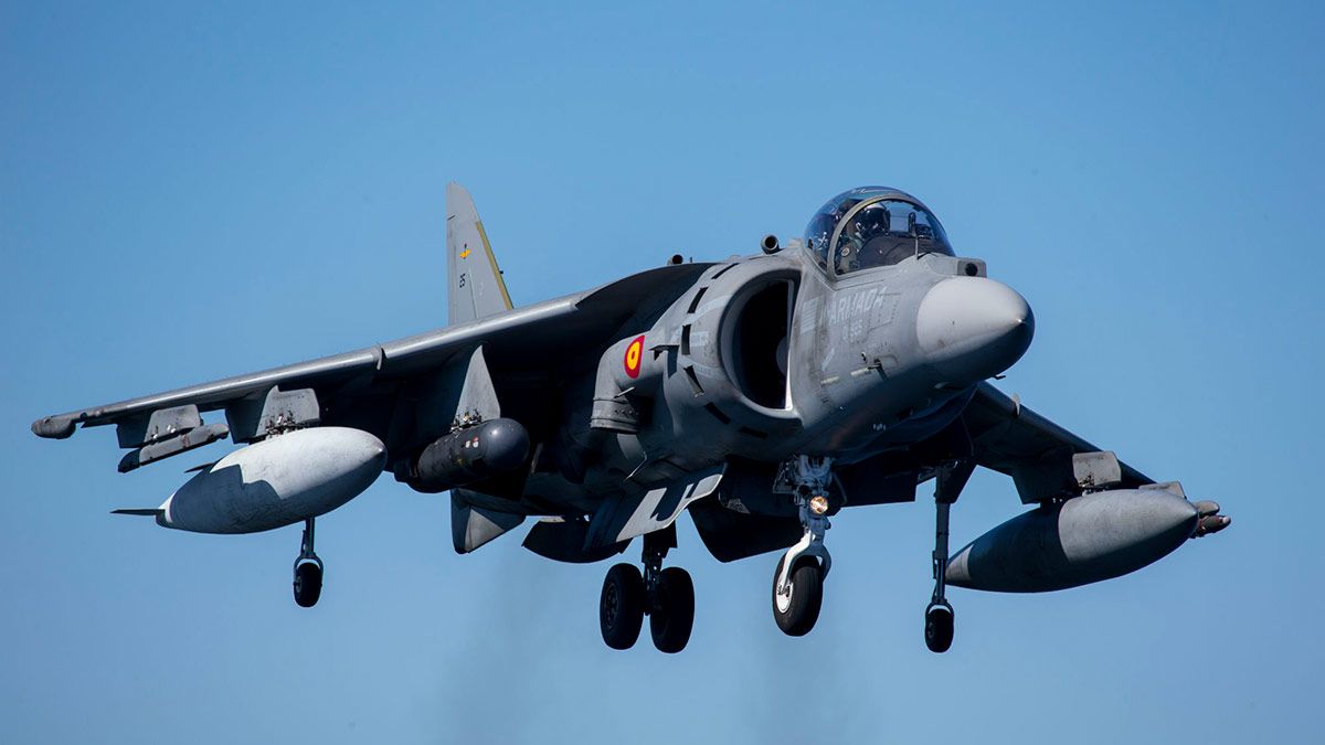 harrier-leon-03-09-18.jpg