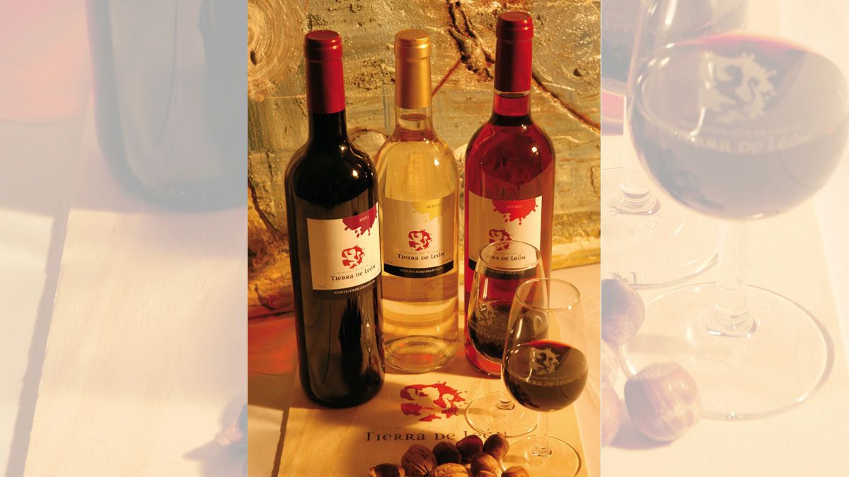 Los vinos Tierra de León serán protagonistas en el Duero International Wine Fest. | L.N.C.
