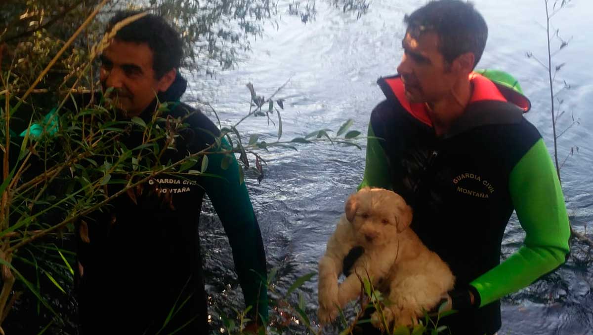 Agentes de la Guardia Civil con el animal rescatado. | L.N.C.
