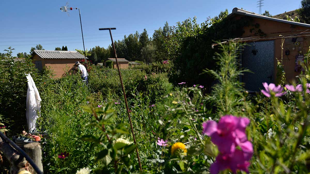 Los huertos de La Candamia tienen actualmente un centenar de personas en lista de espera. | SAÚL ARÉN