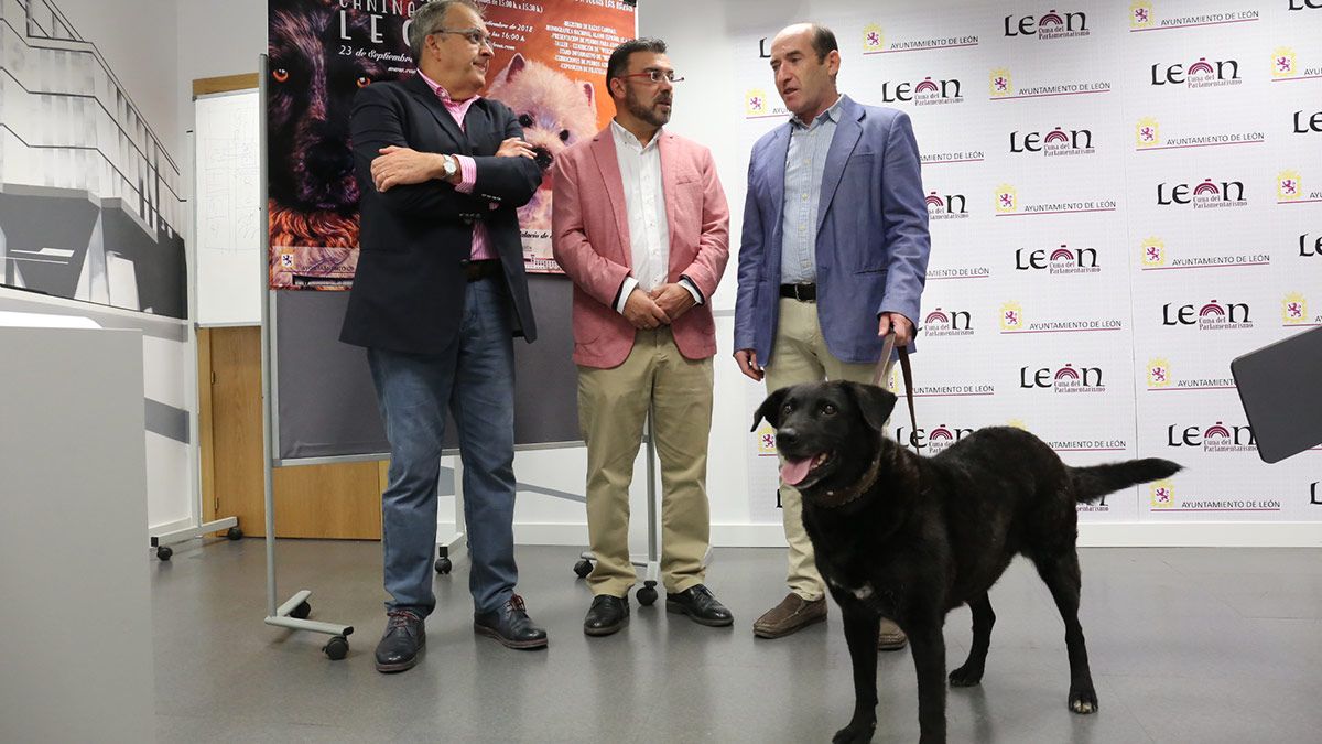 exposicion-canina-leon-20918.jpg