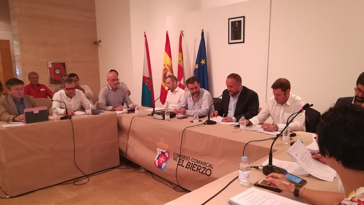 Momentos del pleno del Consejo Comarcal ayer en Ponferrada. | M.I. Momentos del pleno del Consejo Comarcal ayer en Ponferrada. | M.I.