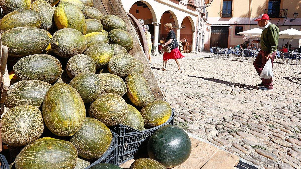 La plaza del Grano de León, vuelve a 1920 para recrear la Romería de La Melonera. | CARLOS S. CAMPILLO (ICAL)