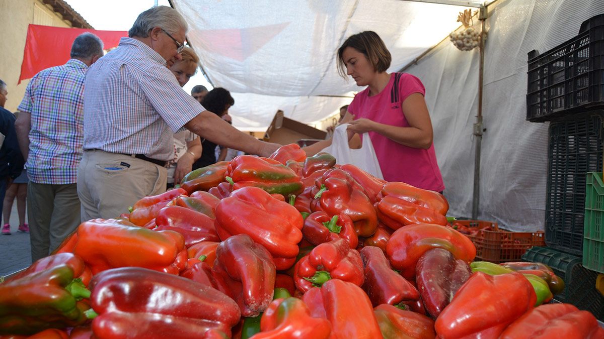 La feria aglutinará a un gran número de expositores de productos de la tierra. | P.F.