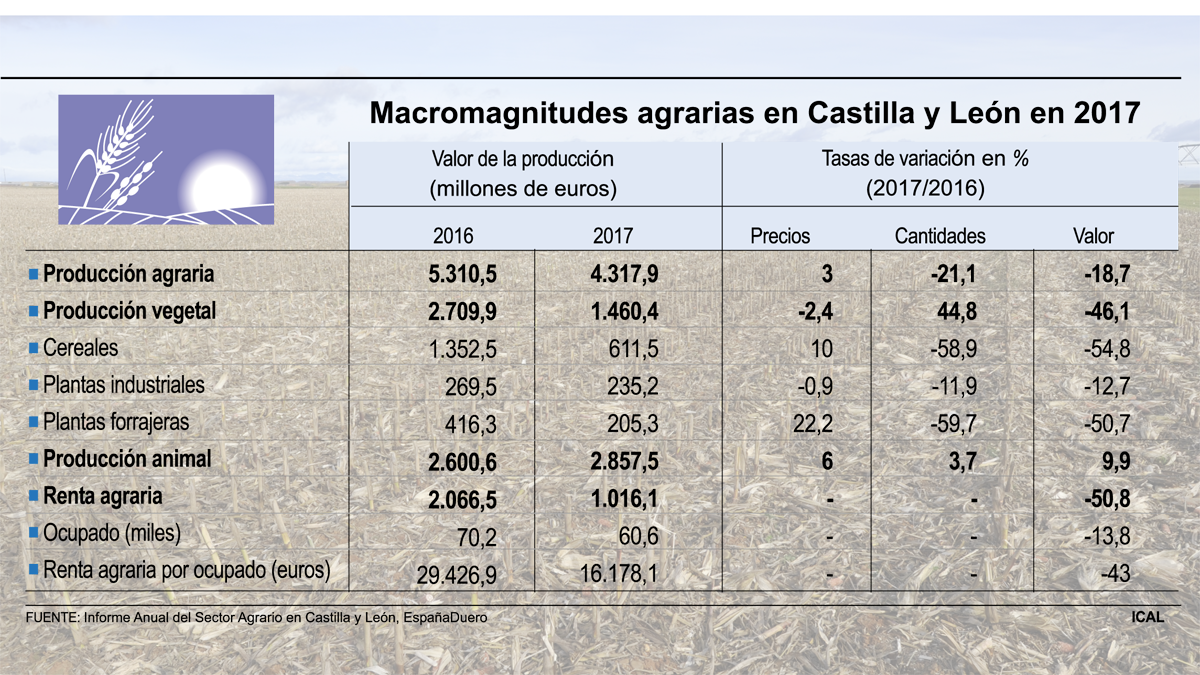 Gráfico sobre macromagnitudes agrarias en Castilla y León.