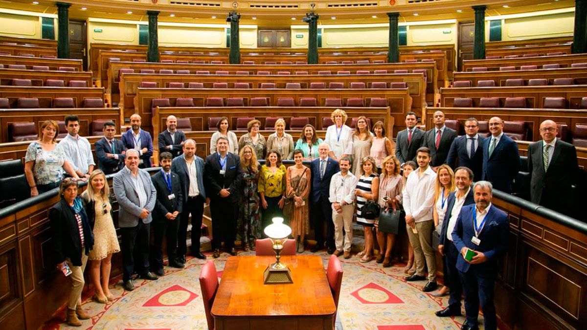 La delegación del CEL en el Congreso de los Diputados. | L.N.C.