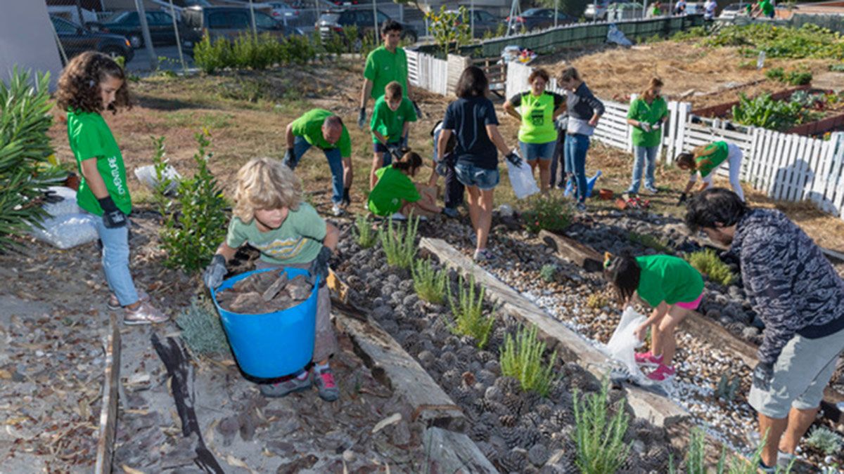 iberdrola-voluntariado-29-09-18.jpg
