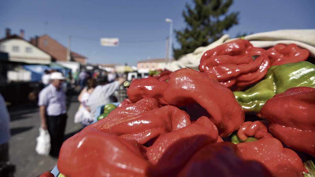 Uno de los puestos de pimiento en Fresno de la Vega. | SAÚL ARÉN