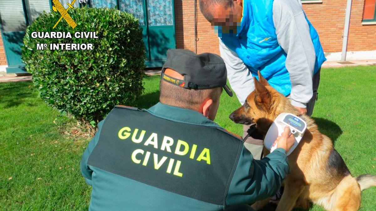 microchip-guardia-civil-11018.jpg