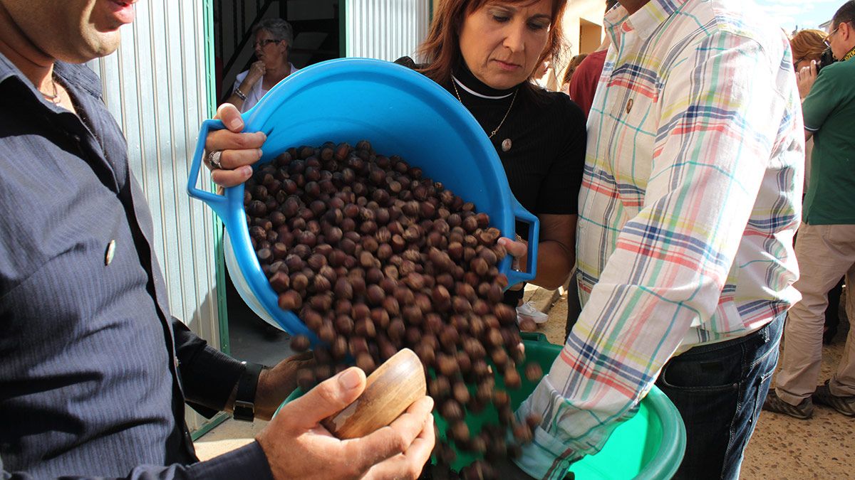 Reparto de avellanas que se repetirá mañana por la tarde en Matanza. | T.G.