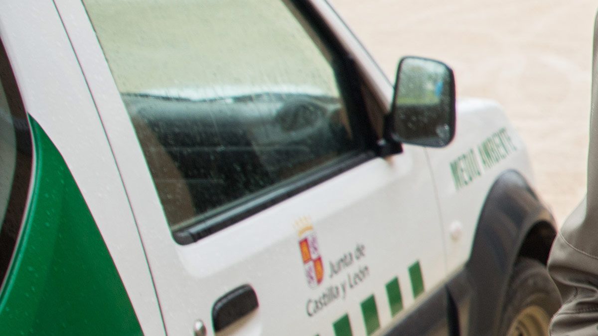 coche-agente-medioambiente-101018.jpg coche-agente-medioambiente-101018.jpg