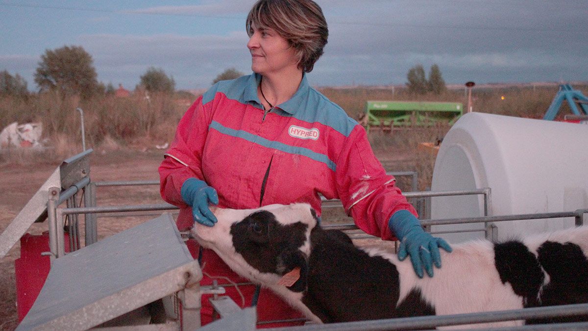 Cecilia Castro con un ternero en la explotación de vacuno de leche que regenta junto a su marido en la localidad de Villaquejida. | T.G.