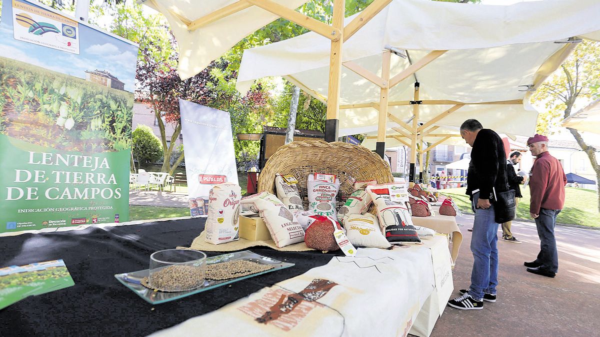 Lentejas de Tierra de Campos junto a otras legumbres de calidad. | L.N.C.