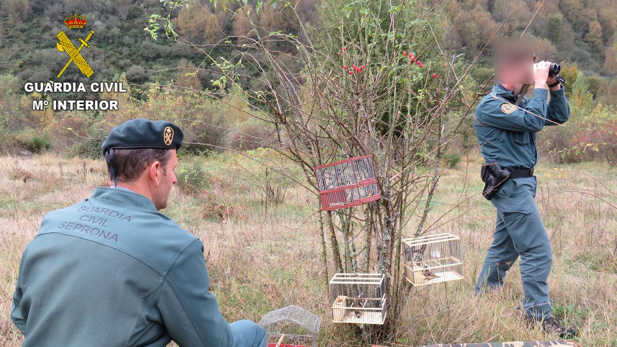 Agentes del Seprona, durante la investigación. | SEPRONA