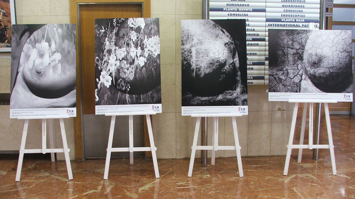 Algunas de las fotografías que se pueden contemplar en esta exposición. | L.N.C.